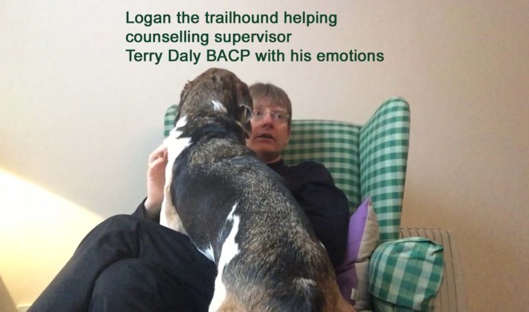 Dogs and human emotions in therapy sessions