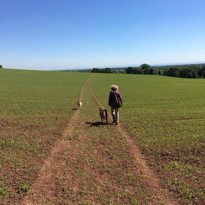 Mental Health Awareness Week and our dogs