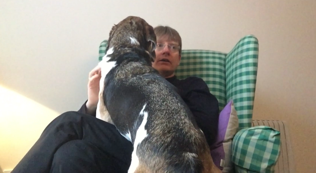 trailhound responding to counsellor