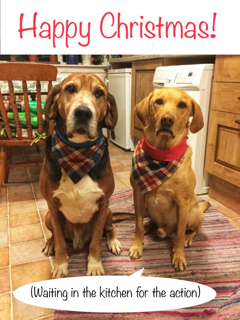 Feelings about Christmas