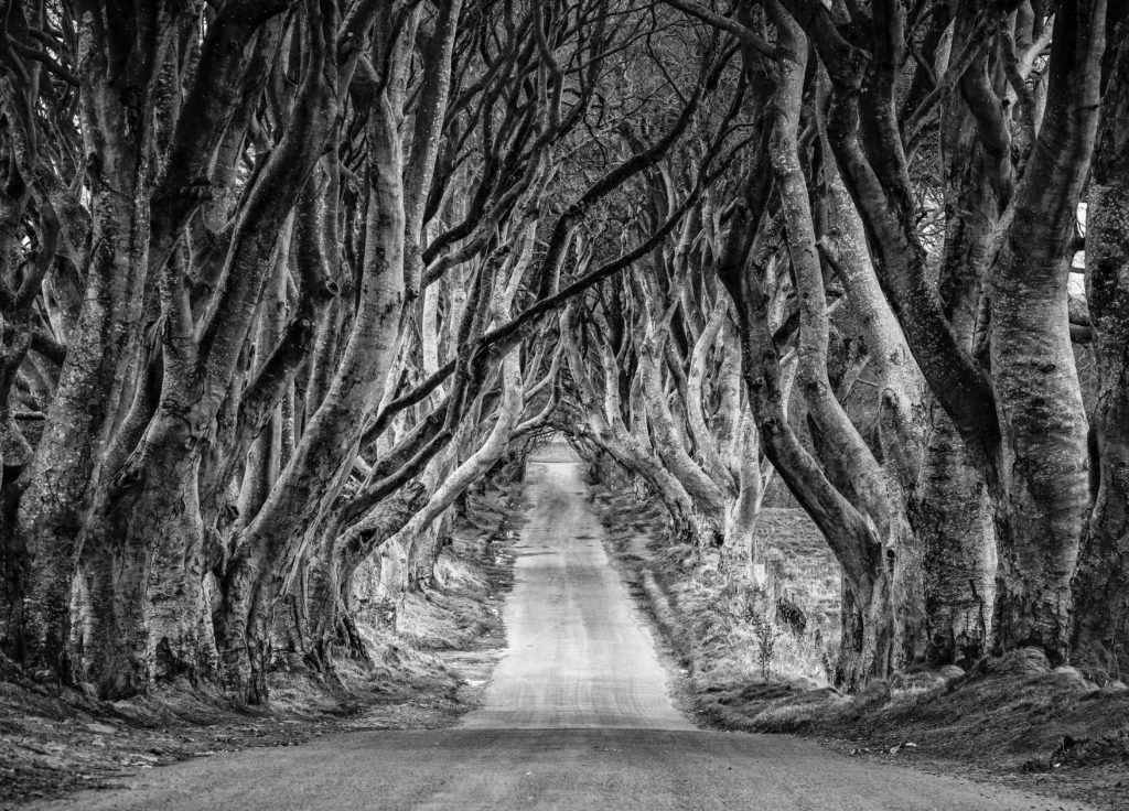 Photo by Rosie Kerr on Unsplash