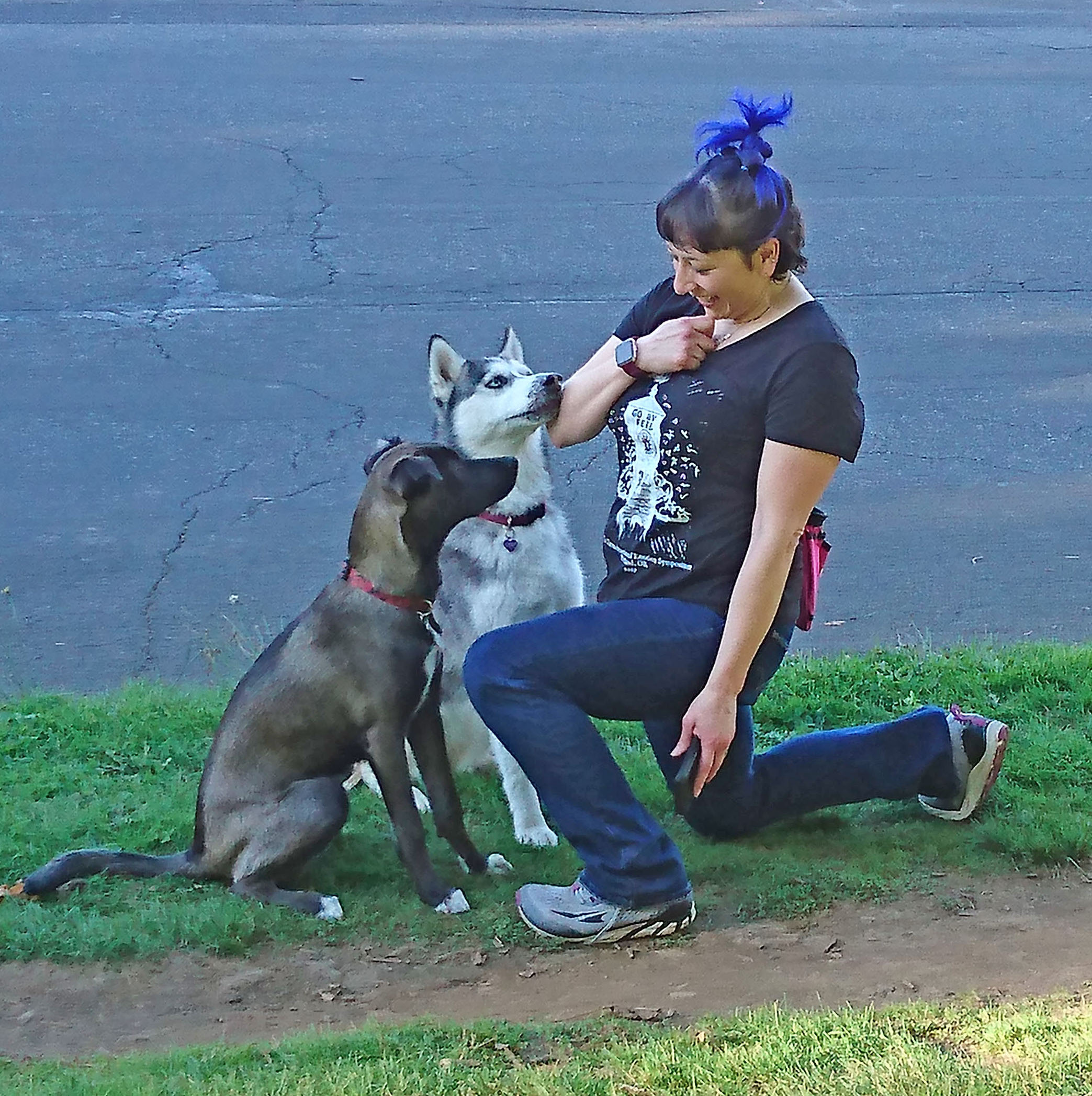 Local dogs joined us to learn about Natural Dog Training Natural Dog Training Core Principles
