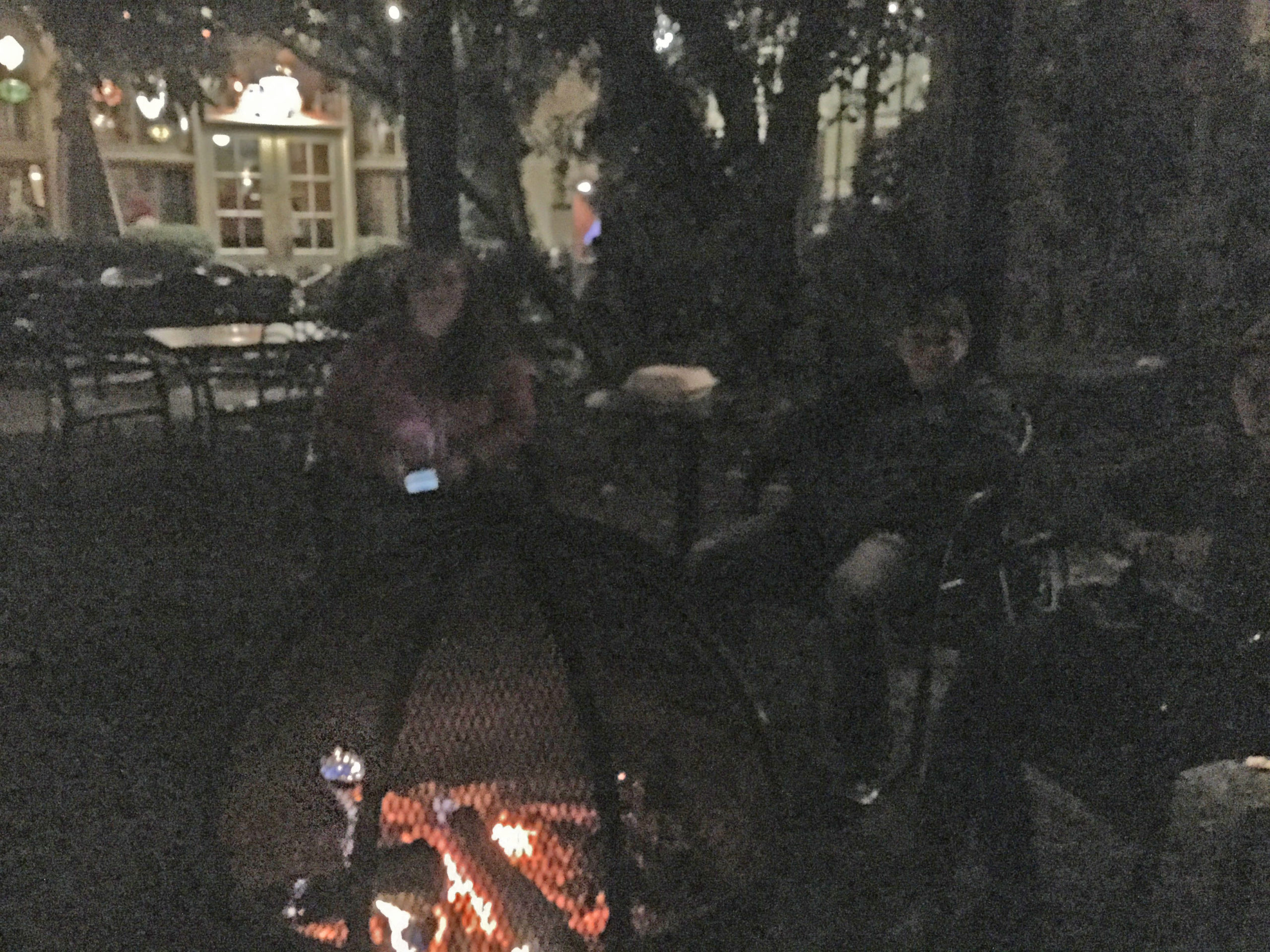 discussing emotions and dogs around a fire