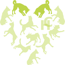 Hounds connect logo with two of the dogs highlighted in the heart shape